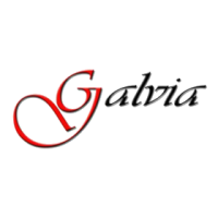 Galvia Logo 208x280 TRP.png