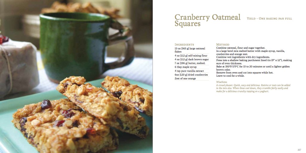 Oatmeal Cranberry Squares