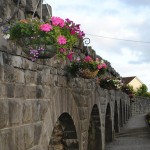 claregalway_tidy_towns_2013-3