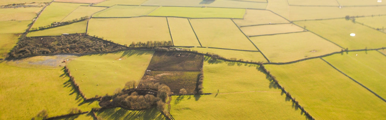Fields in Lydacan, Claregalway