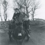 donkey-cart-lakeview-1970s