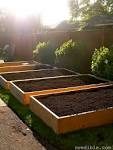 GIY (Grow It Yourself) - How to build and grow in raised beds.